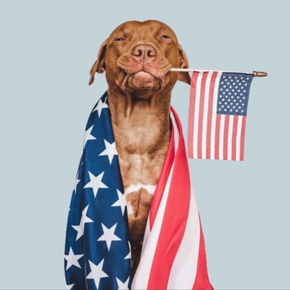 Meet your Poshers, Carolyn & Patricia - Picture 4 of 16